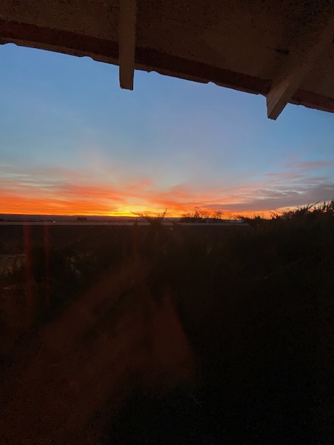 Life on a Colorado Farm