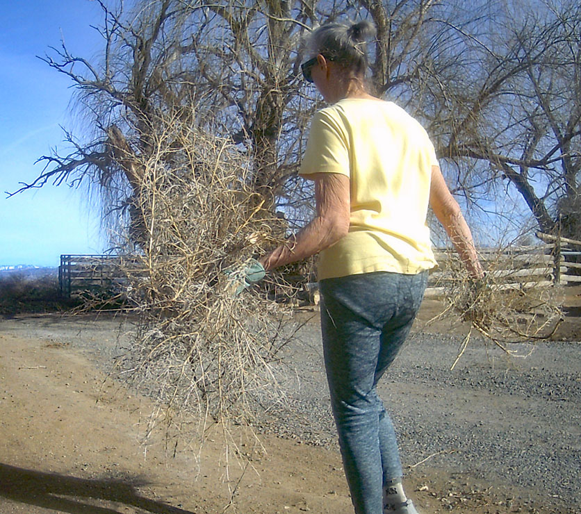 Life on a Colorado Farm