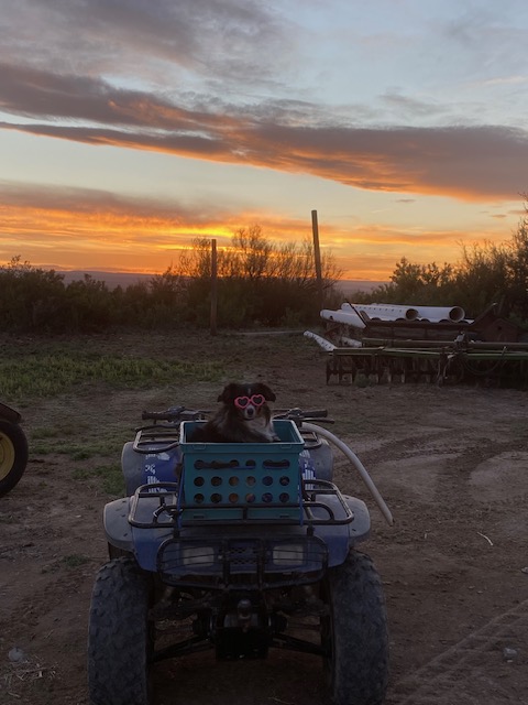 Life on a Colorado Farm