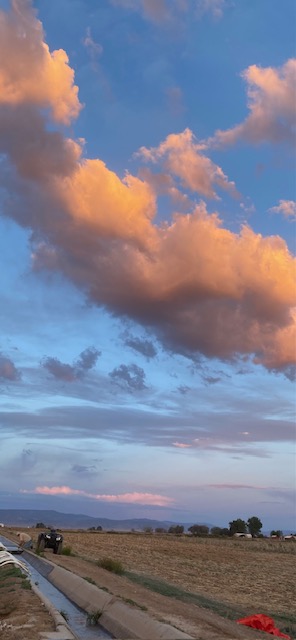 Life on a Colorado Farm