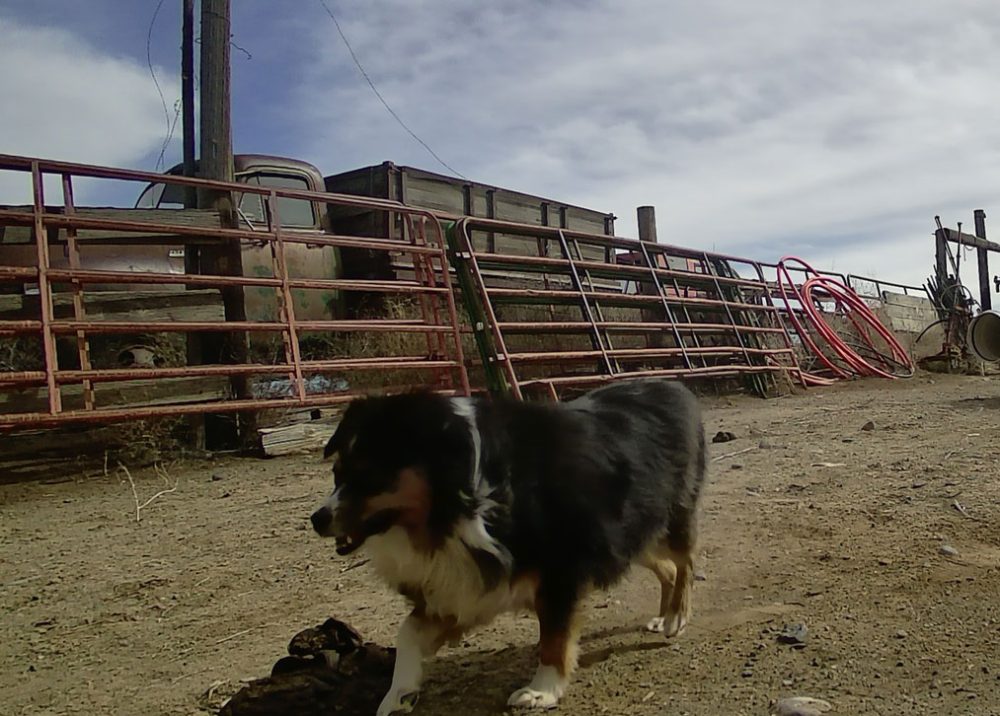 Life on a Colorado Farm