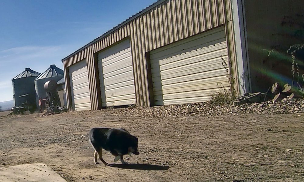 Life on a Colorado Farm