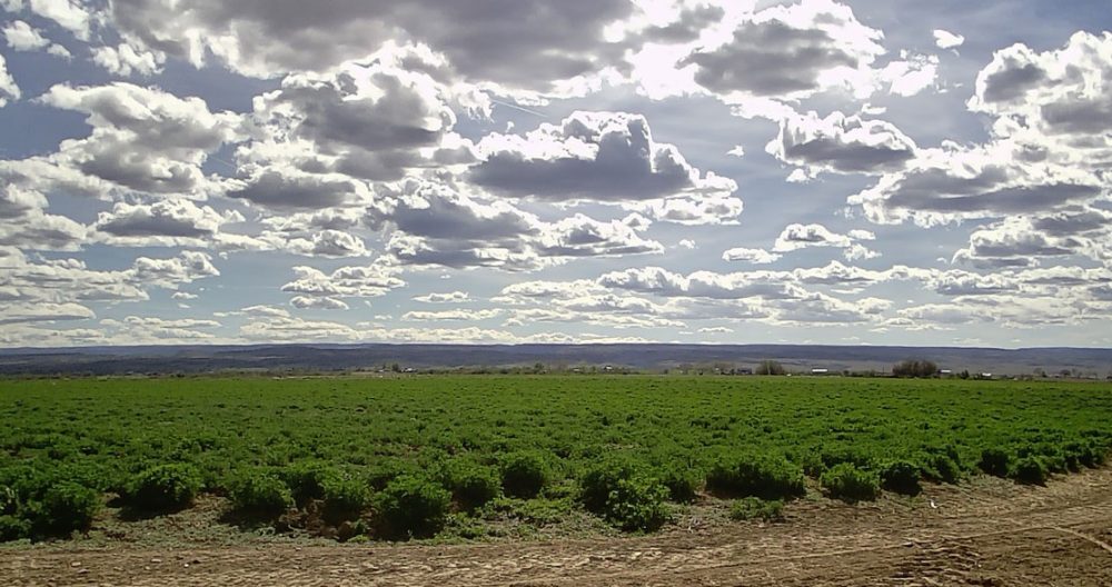 Life on a Colorado Farm