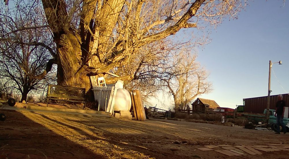 Life on a Colorado Farm