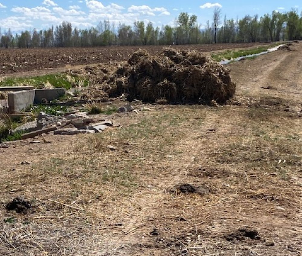 Life on a Colorado Farm