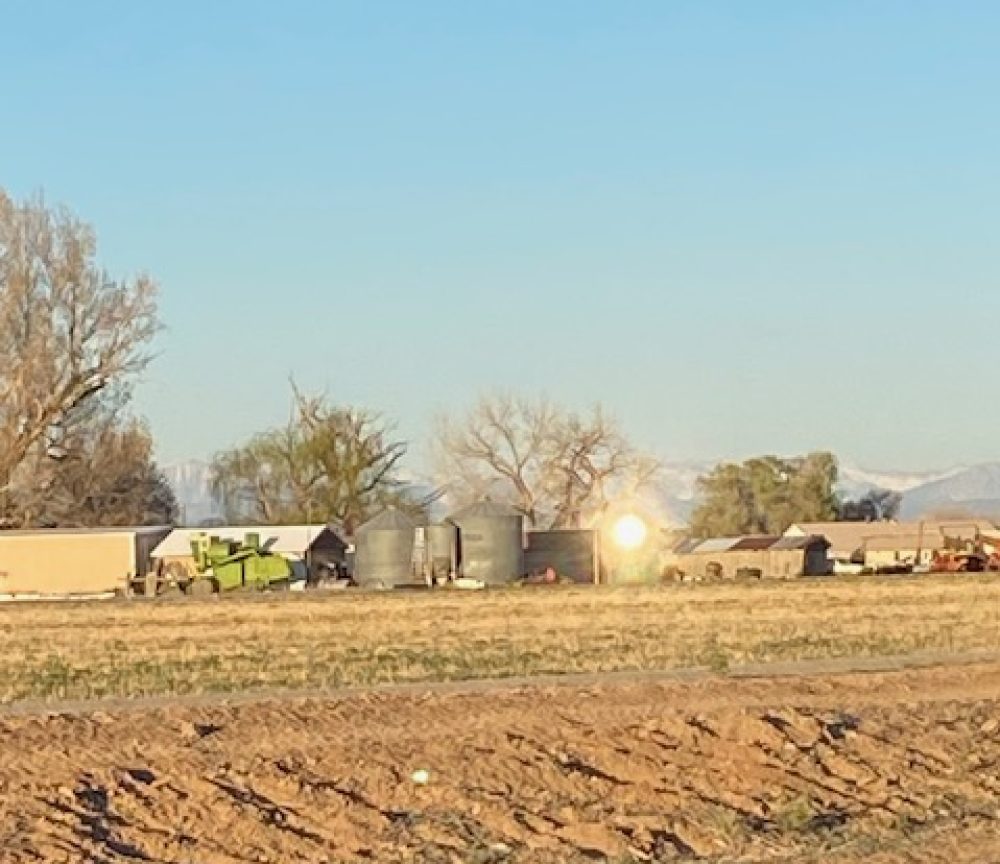 Life on a Colorado Farm