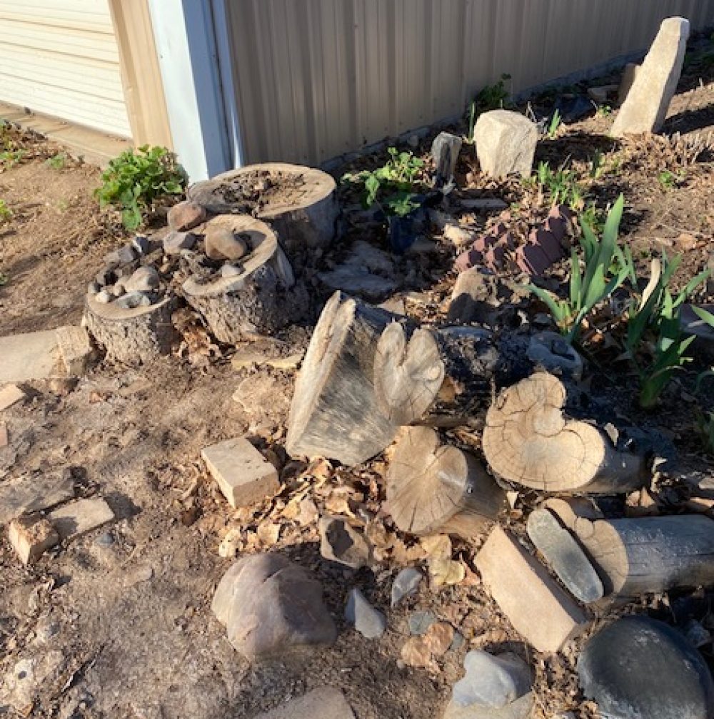 Life on a Colorado Farm