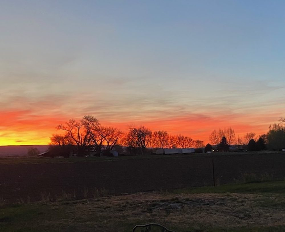 Life on a Colorado Farm