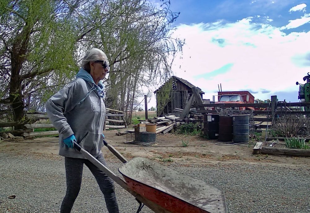 Life on a Colorado Farm