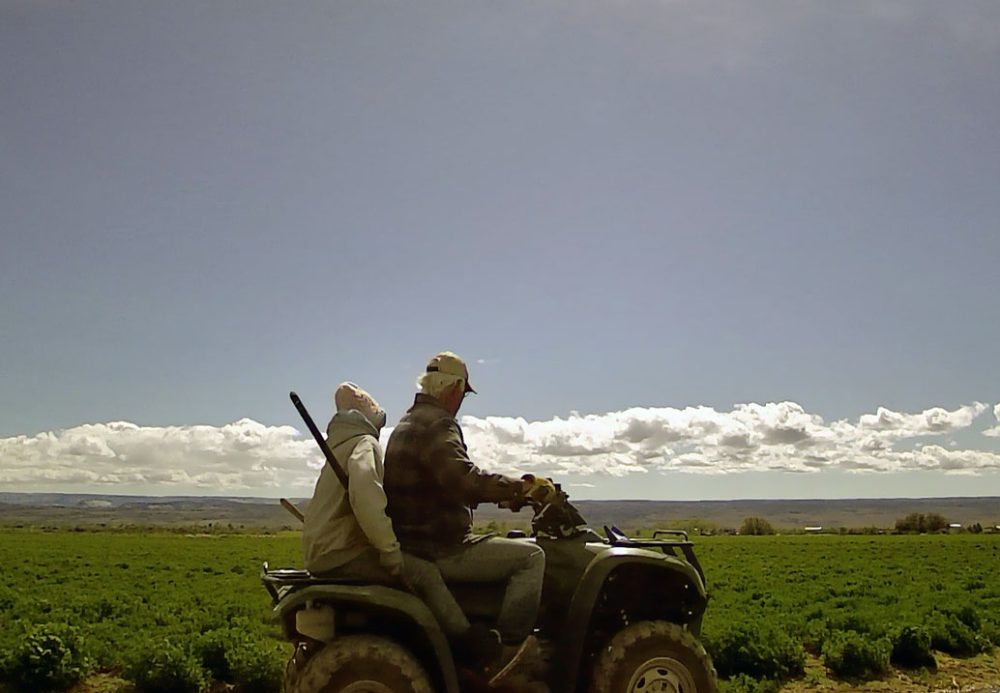 Life on a Colorado Farm
