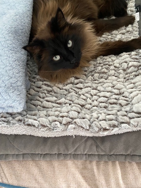 Life on a Colorado Farm