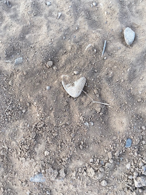 Life on a Colorado Farm