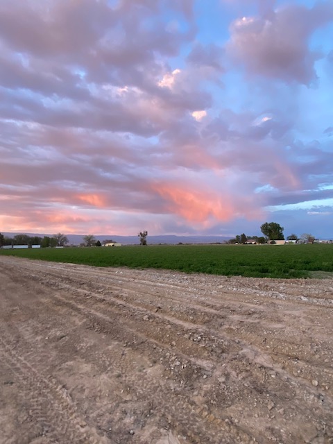 Life on a Colorado Farm