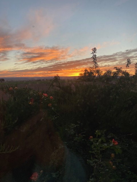 Life on a Colorado Farm