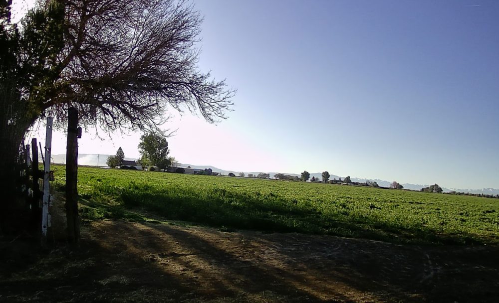 Life on a Colorado Farm