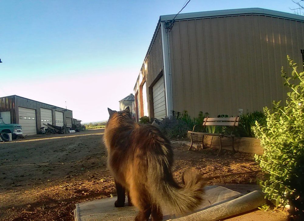 Life on a Colorado Farm