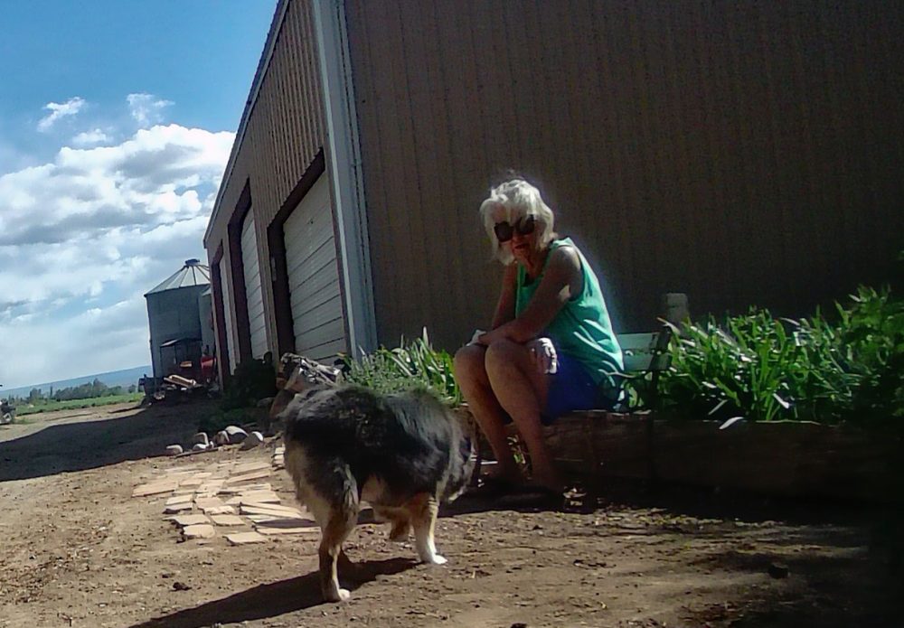 Life on a Colorado Farm
