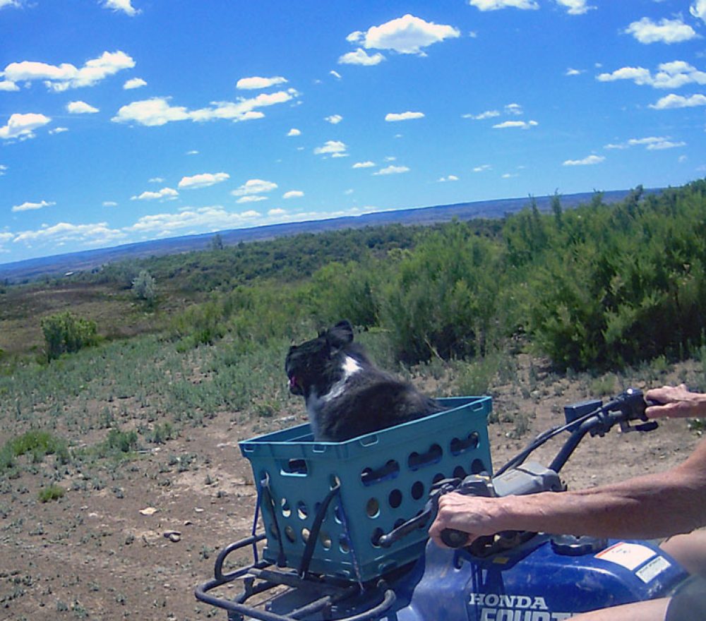 Life on a Colorado Farm