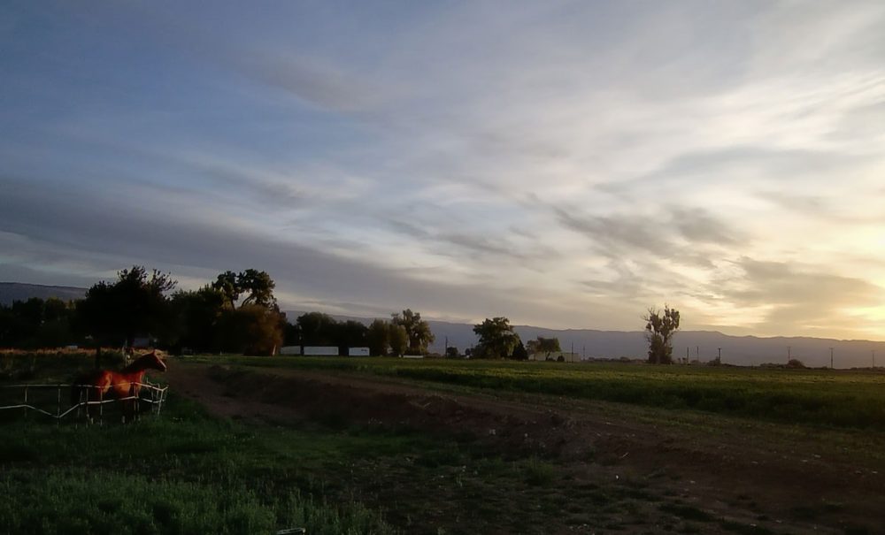Life on a Colorado Farm