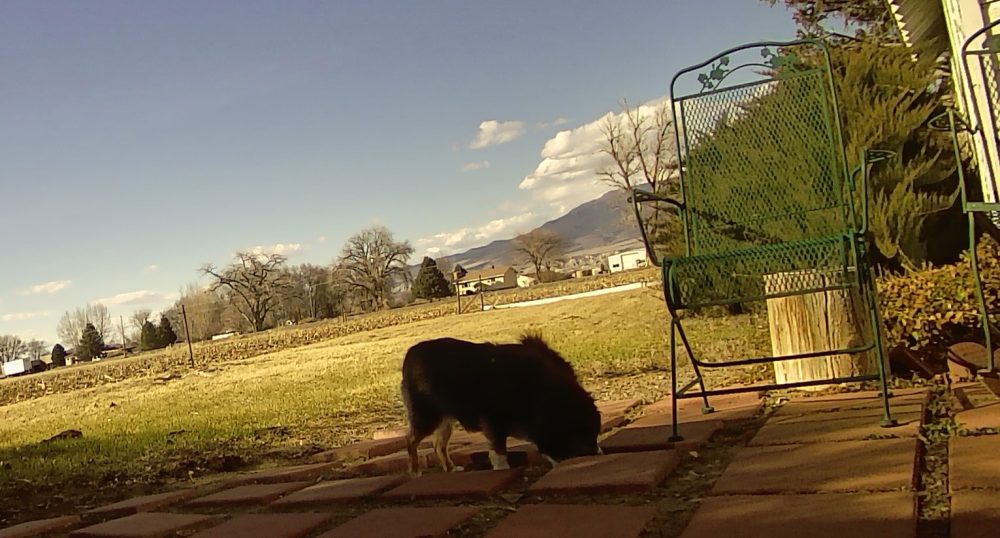 Life on a Colorado Farm