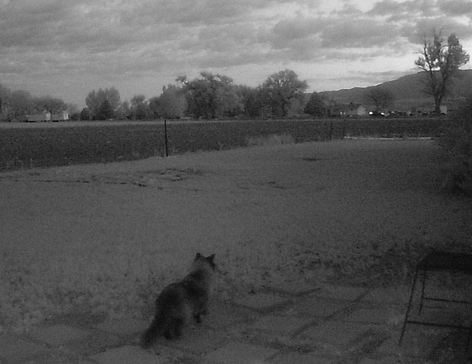 Life on a Colorado Farm