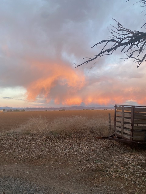 Life on a Colorado Farm