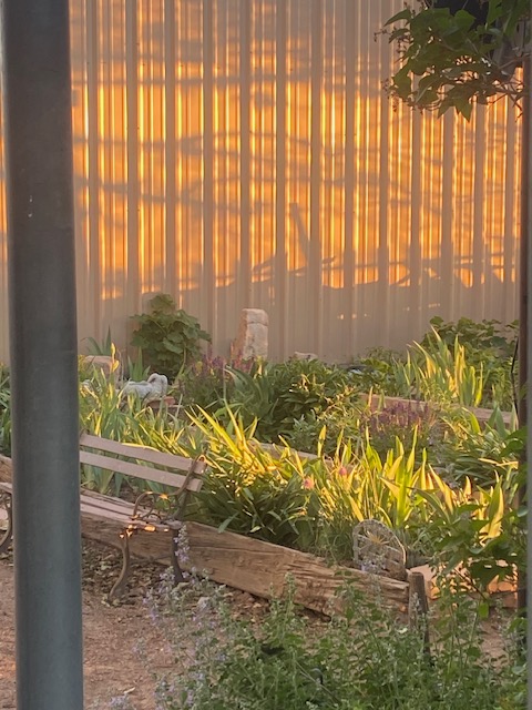 Life on a Colorado Farm