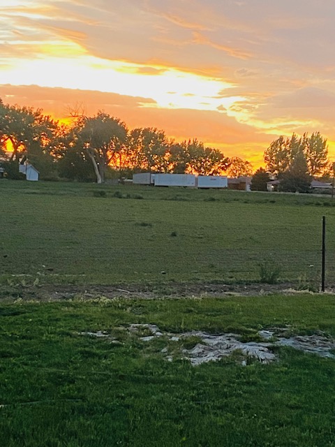 Life on a Colorado Farm
