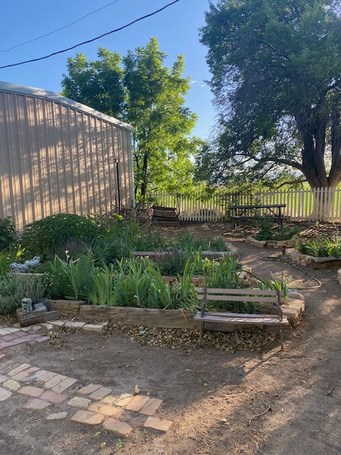 Life on a Colorado Farm