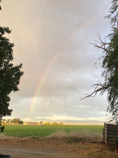 Life on a Colorado Farm