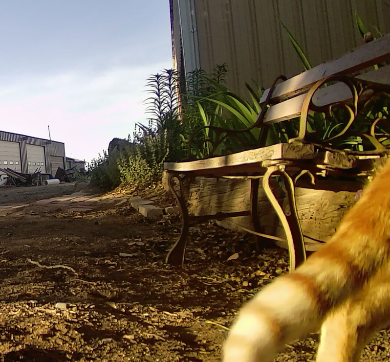 Life on a Colorado Farm