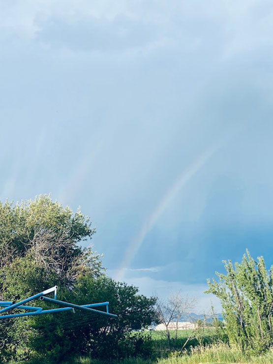 Life on a Colorado Farm