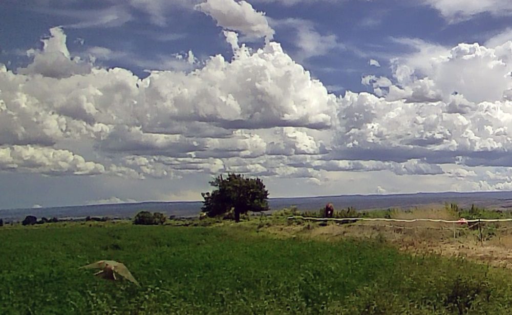 Life on a Colorado Farm