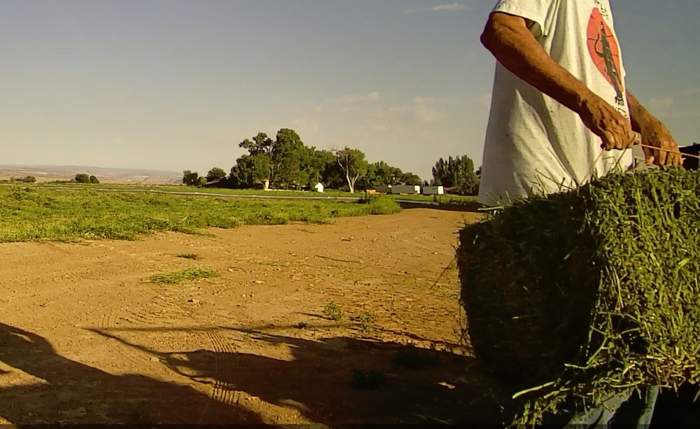 Life on a Colorado Farm