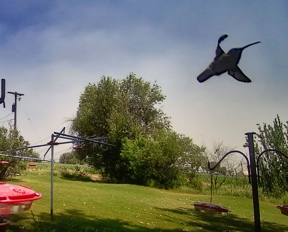 Life on a Colorado Farm