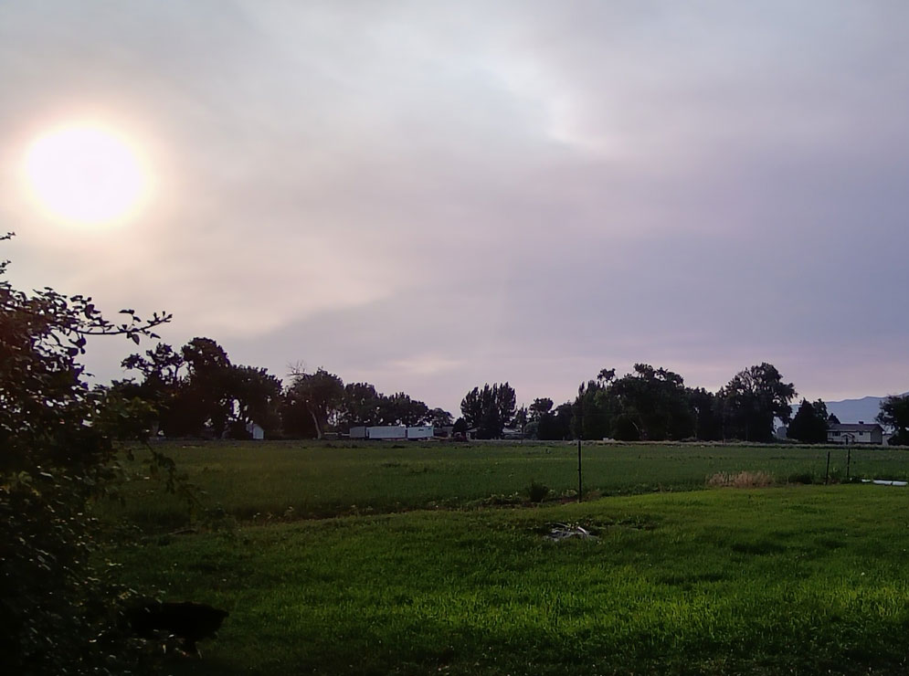 Life on a Colorado Farm