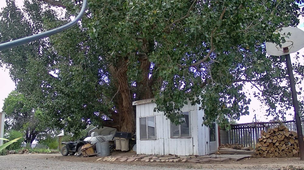 Life on a Colorado Farm