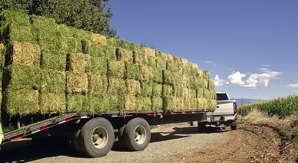 Life on a Colorado Farm