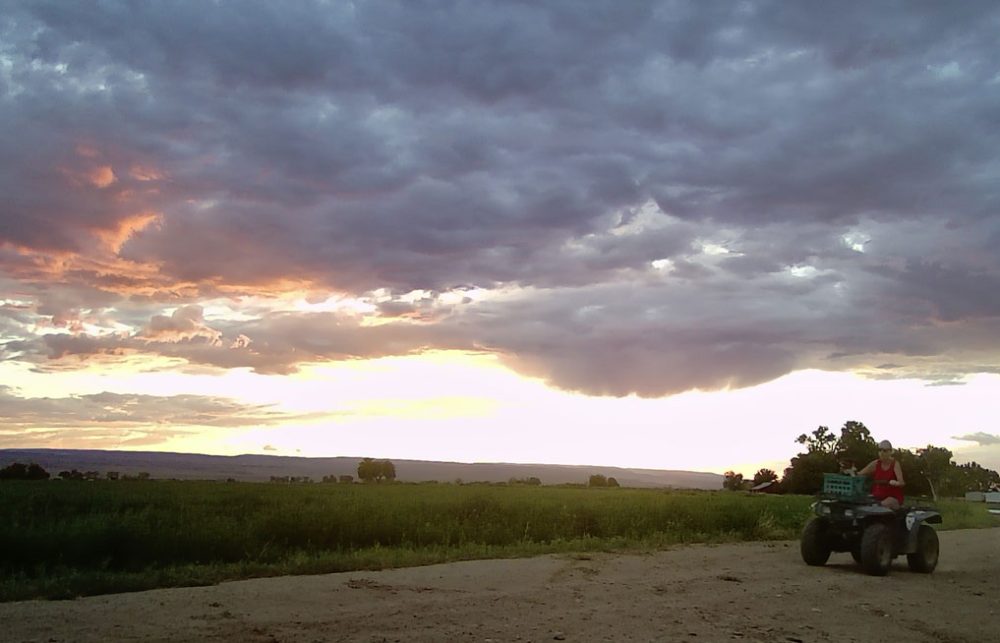 Life on a Colorado Farm