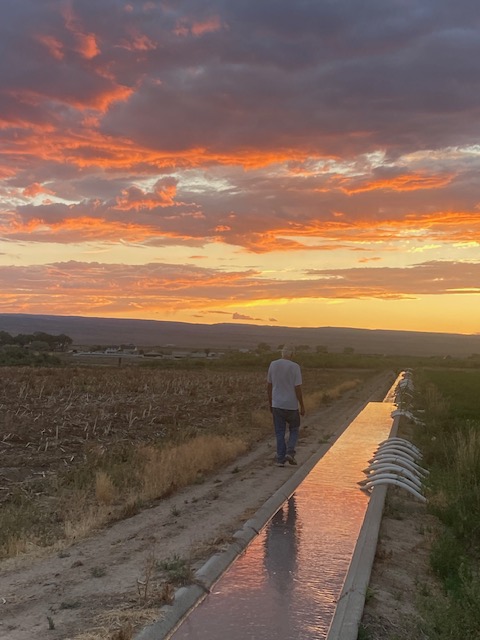 Life on a Colorado Farm