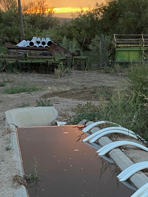 Life on a Colorado Farm