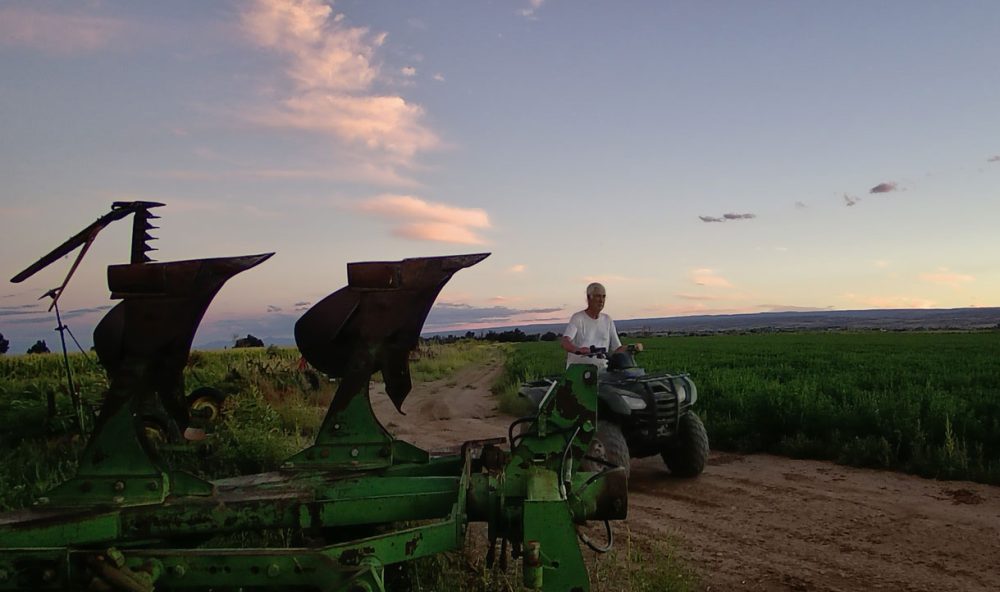 Life on a Colorado Farm