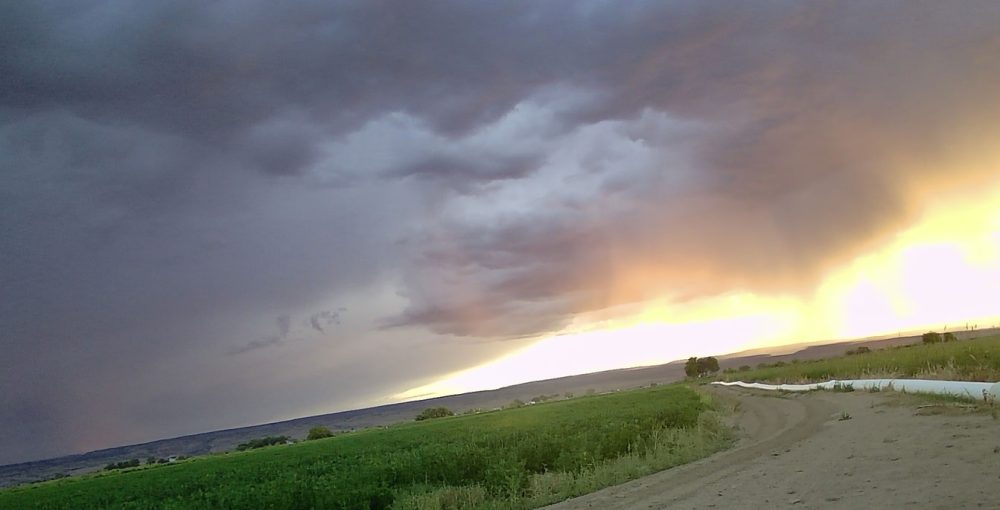 Life on a Colorado Farm