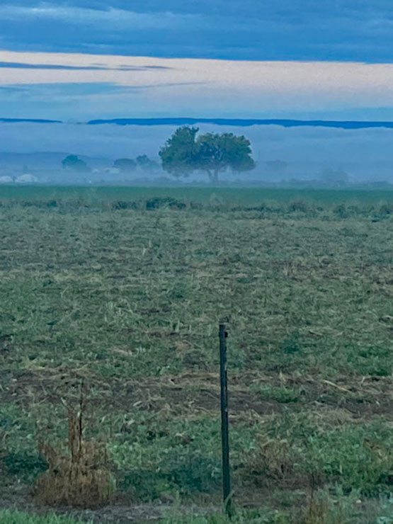 Life on a Colorado Farm