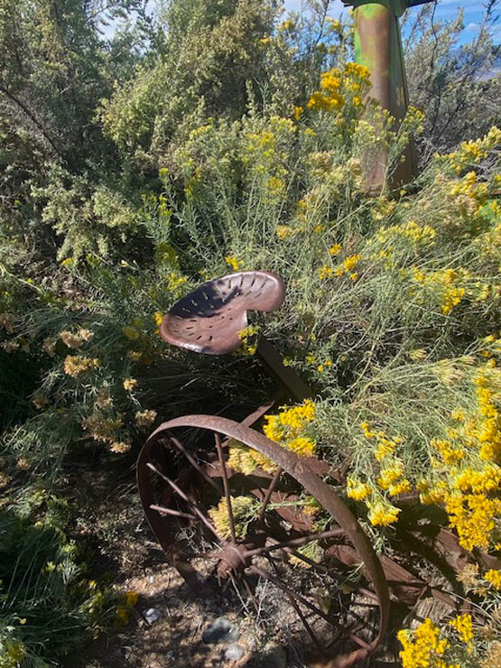 Life on a Colorado Farm