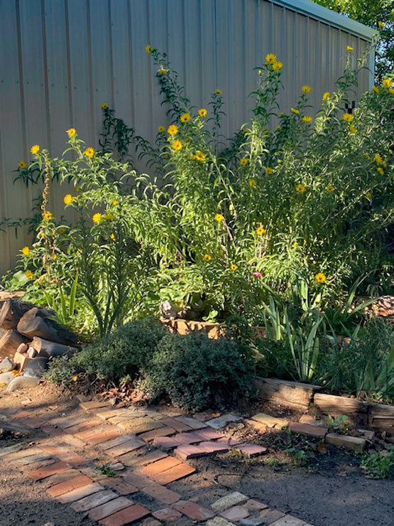 Life on a Colorado Farm
