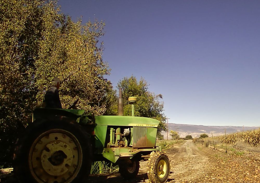 Life on a Colorado Farm