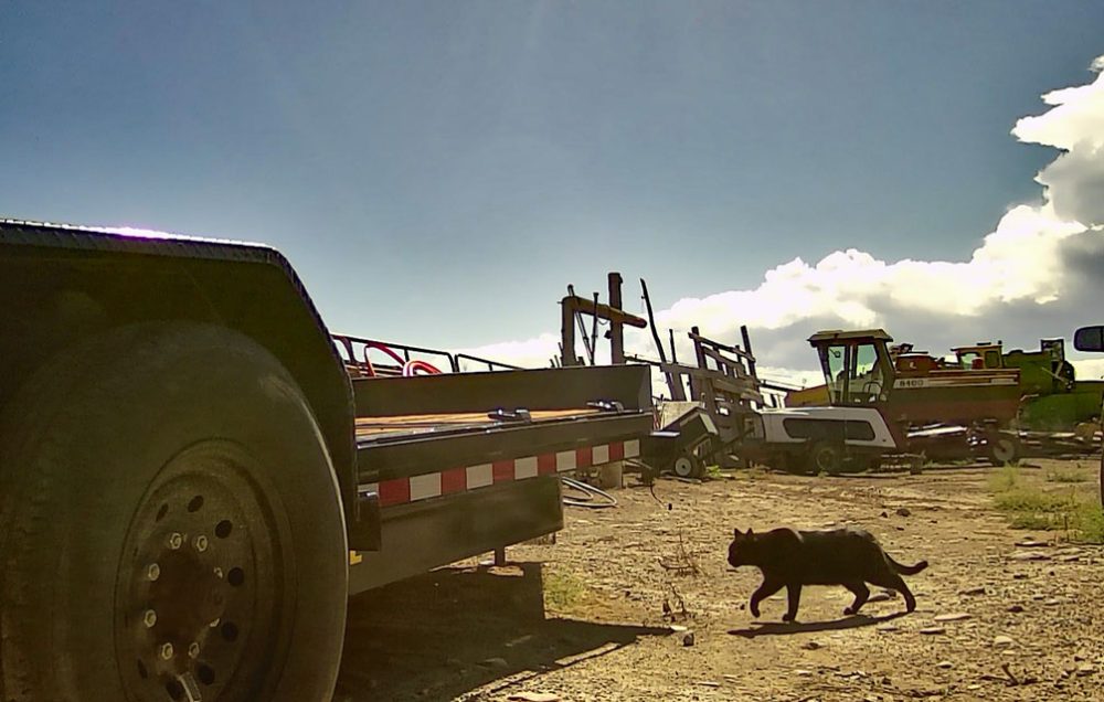 Life on a Colorado Farm