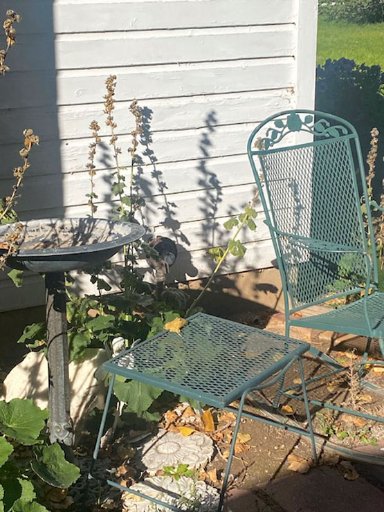 Life on a Colorado Farm